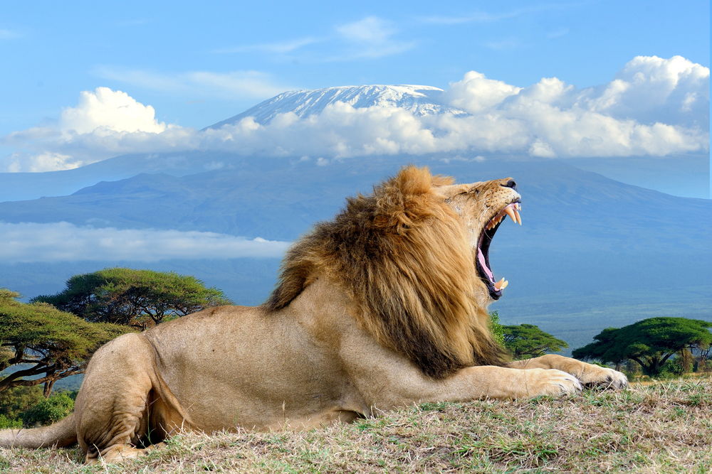 Nairobi to Amboseli National Park 